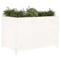 Lit surélevé de jardin blanc 119,5x82,5x78cm bois de pin massif