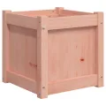 Jardinière 40x40x40 cm bois massif douglas