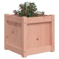 Jardinière 40x40x40 cm bois massif douglas