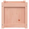 Jardinière 40x40x40 cm bois massif douglas