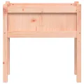 Jardinières avec pieds 70x31x70 cm bois massif douglas