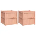 Jardinières 2 pcs bois massif douglas
