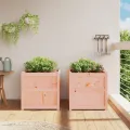 Jardinières 2 pcs bois massif douglas