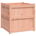 Jardinières 2 pcs bois massif douglas