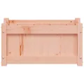 Jardinières 2 pcs bois massif douglas