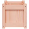 Jardinières 2 pcs bois massif douglas