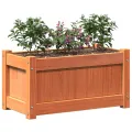 Jardinières 2 pcs cire marron bois de pin massif