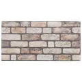 Panneaux muraux 3D 10 pcs marron clair 100x50 cm EPS