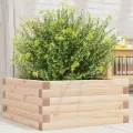 Jardinière 50x50x23 cm bois de pin massif