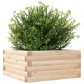 Jardinière 50x50x23 cm bois de pin massif