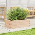 Jardinière 70x40x23 cm bois de pin massif