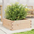 Jardinière 60x60x23 cm bois de pin massif