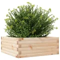 Jardinière 60x60x23 cm bois de pin massif