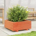 Jardinière cire marron 60x60x26,5 cm bois de pin massif