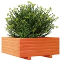 Jardinière cire marron 60x60x26,5 cm bois de pin massif
