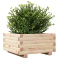 Jardinière 50x50x26,5 cm bois de pin massif