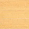 Filet brise-vue sable 1x10 m PEHD 195 g/m²