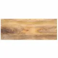 Dessus de table 70x20x3,8 cm rectangulaire bois massif manguier