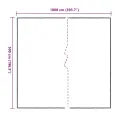 Bâche transparente avec œillets 5x10 m polyéthylène