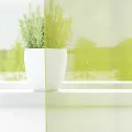 Rideaux en voile avec passants 2 pcs vert pomme