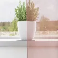 Rideaux en voile avec œillets 2 pcs rose 140x245 cm