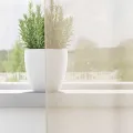 Rideaux en voile avec œillets 2 pcs crème 140x175 cm