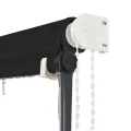 Auvent rétractable avec LED 300x150 cm Anthracite