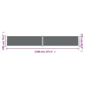 Auvent latéral rétractable Anthracite 180x1200 cm