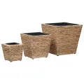 Lits surélevés 3 pcs Jacinthe d'eau