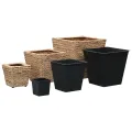 Lits surélevés 3 pcs Jacinthe d'eau