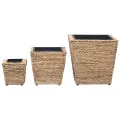 Lits surélevés 3 pcs Jacinthe d'eau