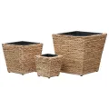 Lits surélevés 3 pcs Jacinthe d'eau