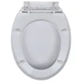 Abattant WC avec frein de chute 2 pcs Plastique Blanc