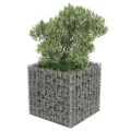 Lit surélevé à gabion Acier galvanisé 50x50x50 cm