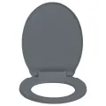 Siège de toilette à fermeture en douceur Gris Ovale