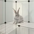 Cage pour petits animaux Transparent 142x74x93 cm PP et Acier