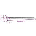Auvent de porte Gris 400x100 cm Polycarbonate