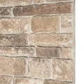 Panneaux muraux 3D avec design de brique multicolore 10 pcs EPS