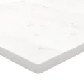 Dessus de table blanc 100x50x2,5 cm bois de pin massif