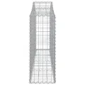 Panier de gabions arqué 200x30x80/100 cm Fer galvanisé