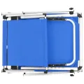 Chaises longues pliables et toit lot de 2 Aluminium textilène