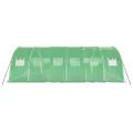 Serre avec cadre en acier vert 24 m² 6x4x2 m