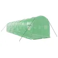 Serre avec cadre en acier vert 20 m² 10x2x2 m