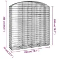 Panier de gabions arqué 200x50x200/220 cm Fer galvanisé