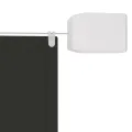 Auvent vertical Anthracite 180x1200 cm Tissu oxford