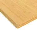 Dessus de table 60x100x2,5 cm bambou