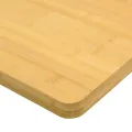 Dessus de table 40x60x1,5 cm bambou