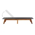 Chaise longue et coussin Résine tressée et bois d'acacia massif