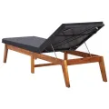 Chaise longue et coussin Résine tressée et bois d'acacia massif