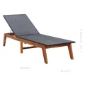 Chaise longue et coussin Résine tressée et bois d'acacia massif